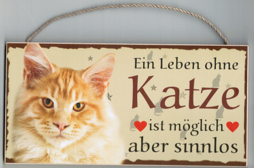 Türschild - Ein Leben ohne eine Katze ist möglich