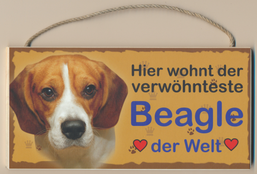 Türschild - Hier wohnt der verwöhnteste Beagle der Welt