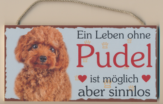 Türschild - Ein Leben ohne Pudel ist möglich aber